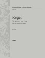 MOZART-VARIATIONEN OP. 132 ORCHESTRE
