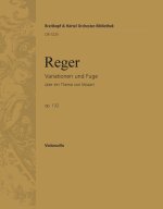 MOZART-VARIATIONEN OP. 132 ORCHESTRE