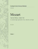 SANCTA MARIA, MATER DEI KV 273