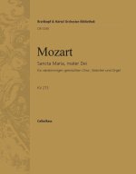 SANCTA MARIA, MATER DEI KV 273