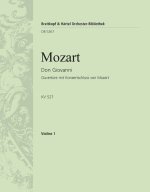 DON GIOVANNI KV 527. OUVERTURE ORCHESTRE