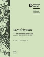 INTERMEZZO, NOTTURNO UND TANZ ORCHESTRE