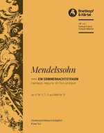 INTERMEZZO, NOTTURNO UND TANZ ORCHESTRE