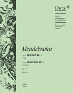 SYMPHONIE NR. 1 C-MOLL OP. 11 ORCHESTRE