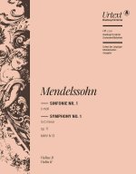 SYMPHONIE NR. 1 C-MOLL OP. 11 ORCHESTRE