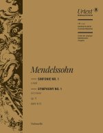 SYMPHONIE NR. 1 C-MOLL OP. 11 ORCHESTRE