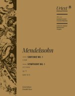 SYMPHONIE NR. 1 C-MOLL OP. 11 ORCHESTRE