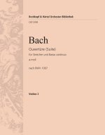 OUVERTURE A-MOLL NACH BWV 1067