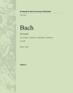VIOLINKONZERT A-MOLL BWV 1041