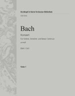 VIOLINKONZERT A-MOLL BWV 1041