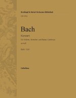 VIOLINKONZERT A-MOLL BWV 1041