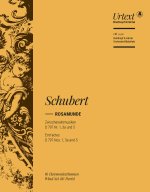 ROSAMUNDE ZWISCHENAKTMUSIKEN D 797 NR. 1, 3A UND 5 ORCHESTRE
