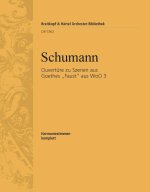 OUVERTURE ZU SZENEN AUS GOETHES FAUST WOO 3 ORCHESTRE