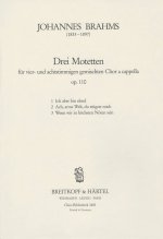 3 MOTETTEN OP. 110