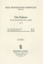 22.PSALM MEIN GOTT WARUM OP.78
