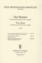 DREI MOTETTEN OP. 69/3