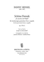 SCHONE FREMDE ES RAUSCHEN