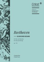 ELEGISCHER GESANG OP. 118