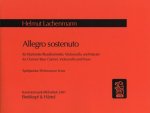 ALLEGRO SOSTENUTO