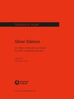 SILVER SILENCE