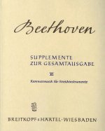 SUPPLEMENTE ZUR GA 6