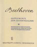 SUPPLEMENTE ZUR GA 7