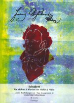SCHUBERT FUR VIOLINE UND KLAVIER VIOLON