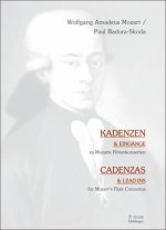 KADENZEN UND EINGANGE ZU MOZARTS FLOTENKONZERTEN FLUTE TRAVERSIERE
