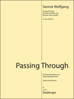 PASSING THROUGH -PARTITION+PARTIES SEPAREES