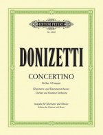 CLARINET CONCERTINO IN B FLAT CLARINETTE