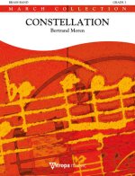 CONSTELLATION ENSEMBLE DE CUIVRES