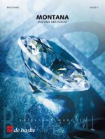 MONTANA ENSEMBLE DE CUIVRES