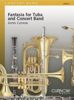 FANTASIA FOR TUBA AND CONCERT BAND TUBA -PARTITION+PARTIES SEPAREES