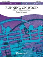 RUNNING ON WOOD -PARTITION+PARTIES SEPAREES