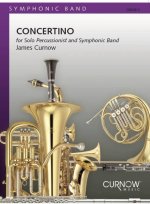 CONCERTINO PERCUSSIONS -PARTITION+PARTIES SEPAREES