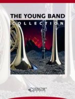 THE YOUNG BAND COLLECTION ( PERCUSSION 1 & 2 )  PERCUSSIONS