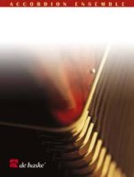 THE YOUNG AMADEUS ACCORDEON