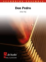 DON PEDRO ACCORDEON