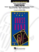 THEMES FROM FANTASIA ENSEMBLE DE CUIVRES