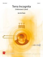 TERRA INCOGNITA ENSEMBLE DE CUIVRES