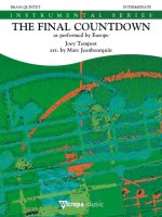 THE FINAL COUNTDOWN -PARTITION+PARTIES SEPAREES