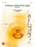 A VISION OF THE FIRST LIGHT CONCERT BAND/HARMONIE