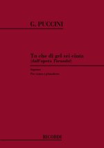 TURANDOT: TU CHE DI GEL SEI CINTA CHANT