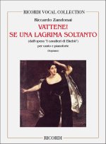 I CAVALIERI EKEBU': VATTENE! SE UNA LAGRIMA CHANT