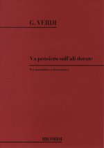 NABUCCO: VA PENSIERO SULL'ALI DORATE