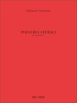 POLVERI LATERALI PIANO