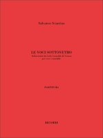 LE VOCI SOTTOVETRO
