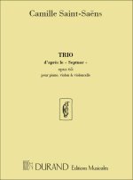 TRIO D'APRES LE SEPTUOR OPUS 65 MUSIQUE D'ENSEMBLE