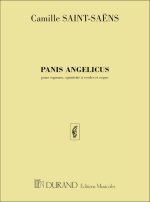 PANIS ANGELICUSPOUR SOPRANO QUINTETTE A CORDES ET