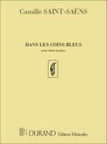 DANS LES COINS BLEUS  CHANT